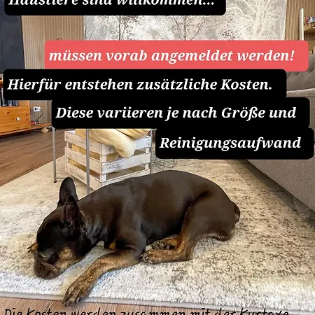 Fewomaurer Wg3 Erdgeschoss Daire *